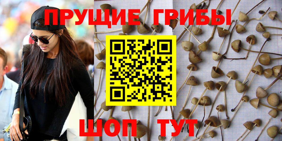 Новомосковск  Галлюциногенные грибы мухоморы  Вход с VPN 